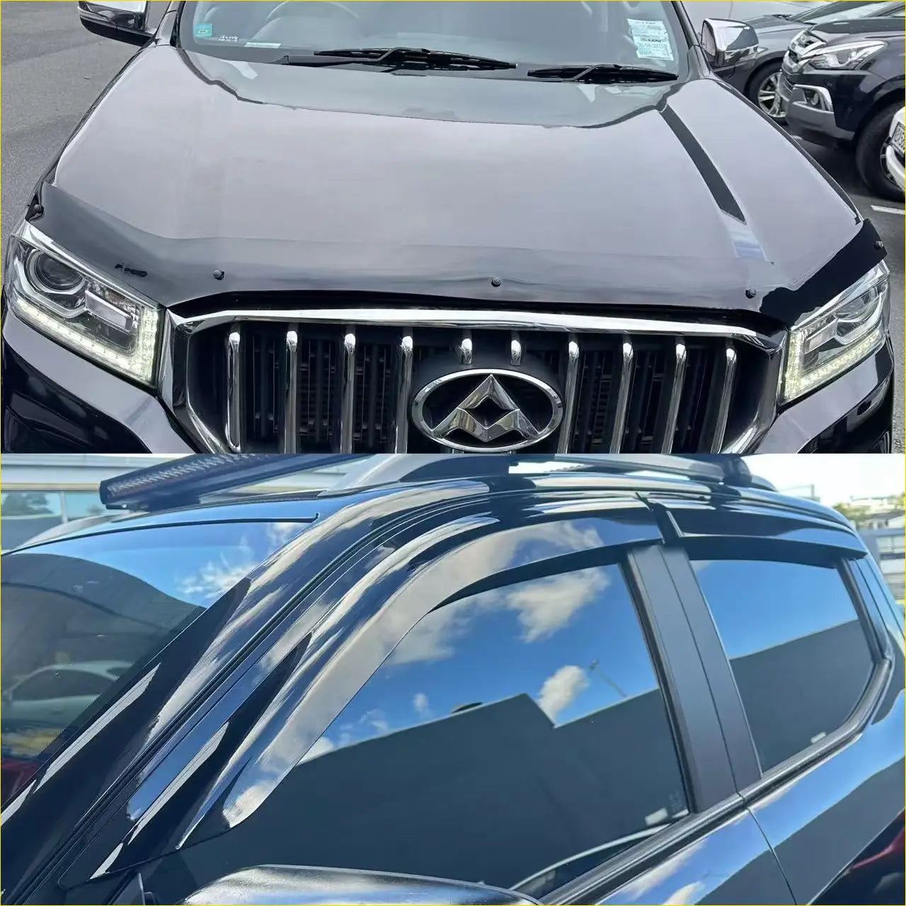Monsoon and Bonnet Guard LDV T60/MAXUS 2017-2020 - Door Visor &