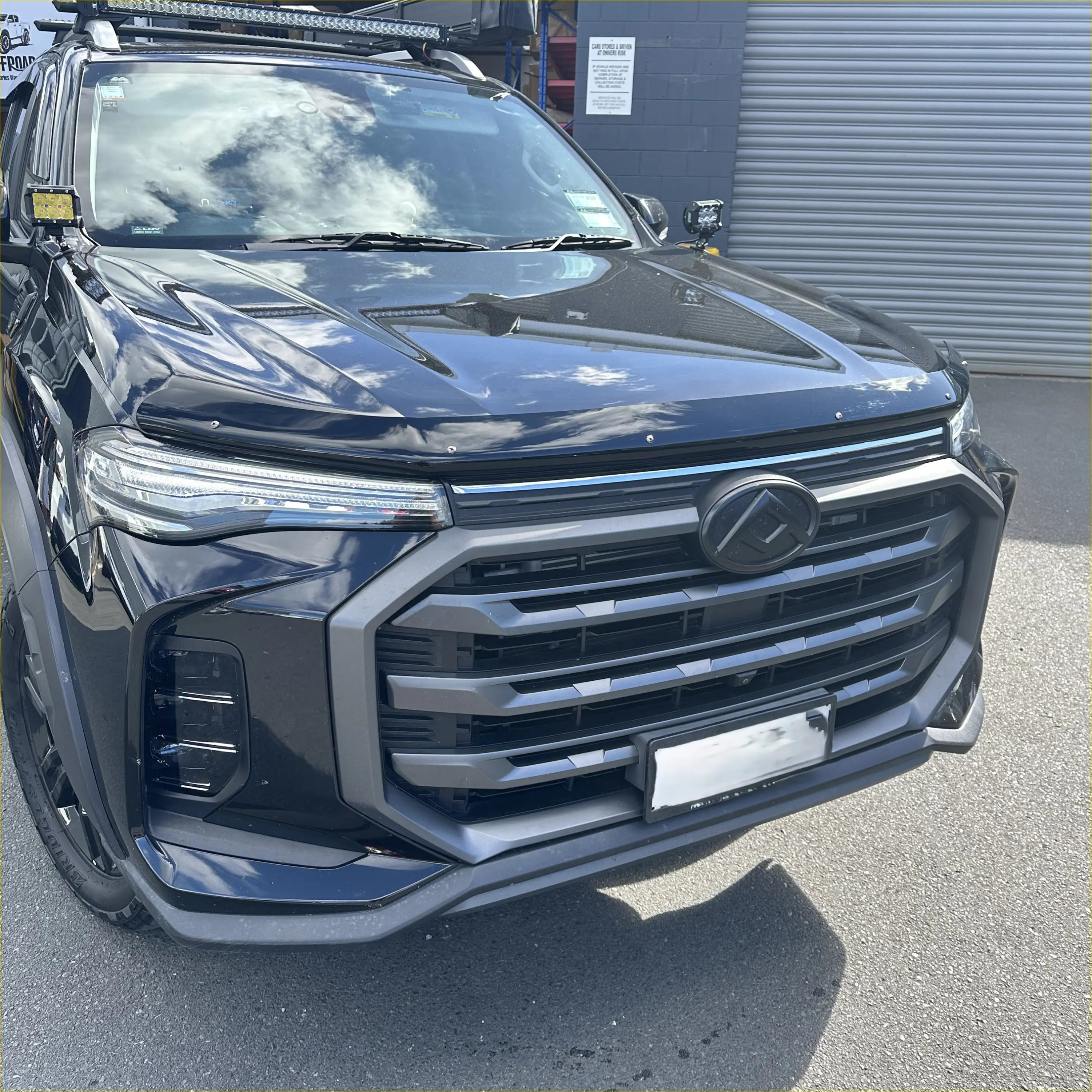 Monsoon and Bonnet Guard LDV T90 2022+ - Door Visor &