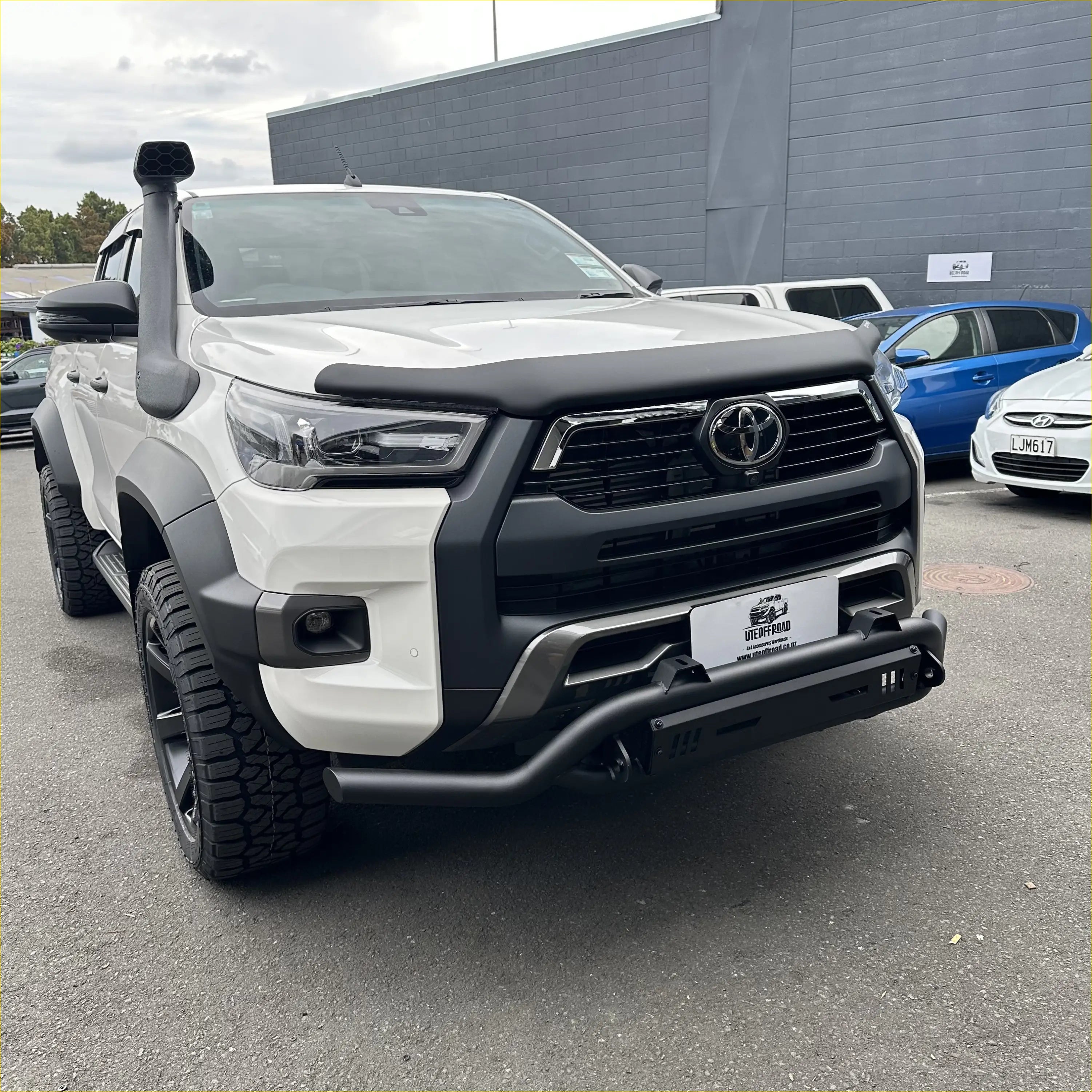 Nudge bar(Compatible Front Camera and Sensors) Lower style for Toyota