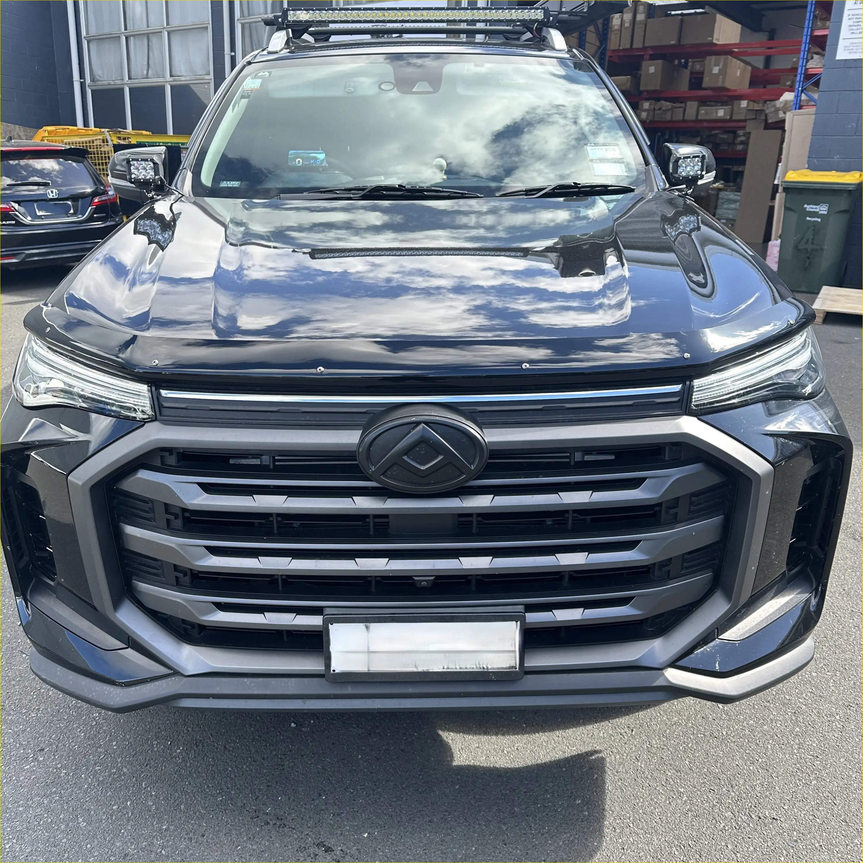Monsoon and Bonnet Guard LDV T90 2022+ - Door Visor &