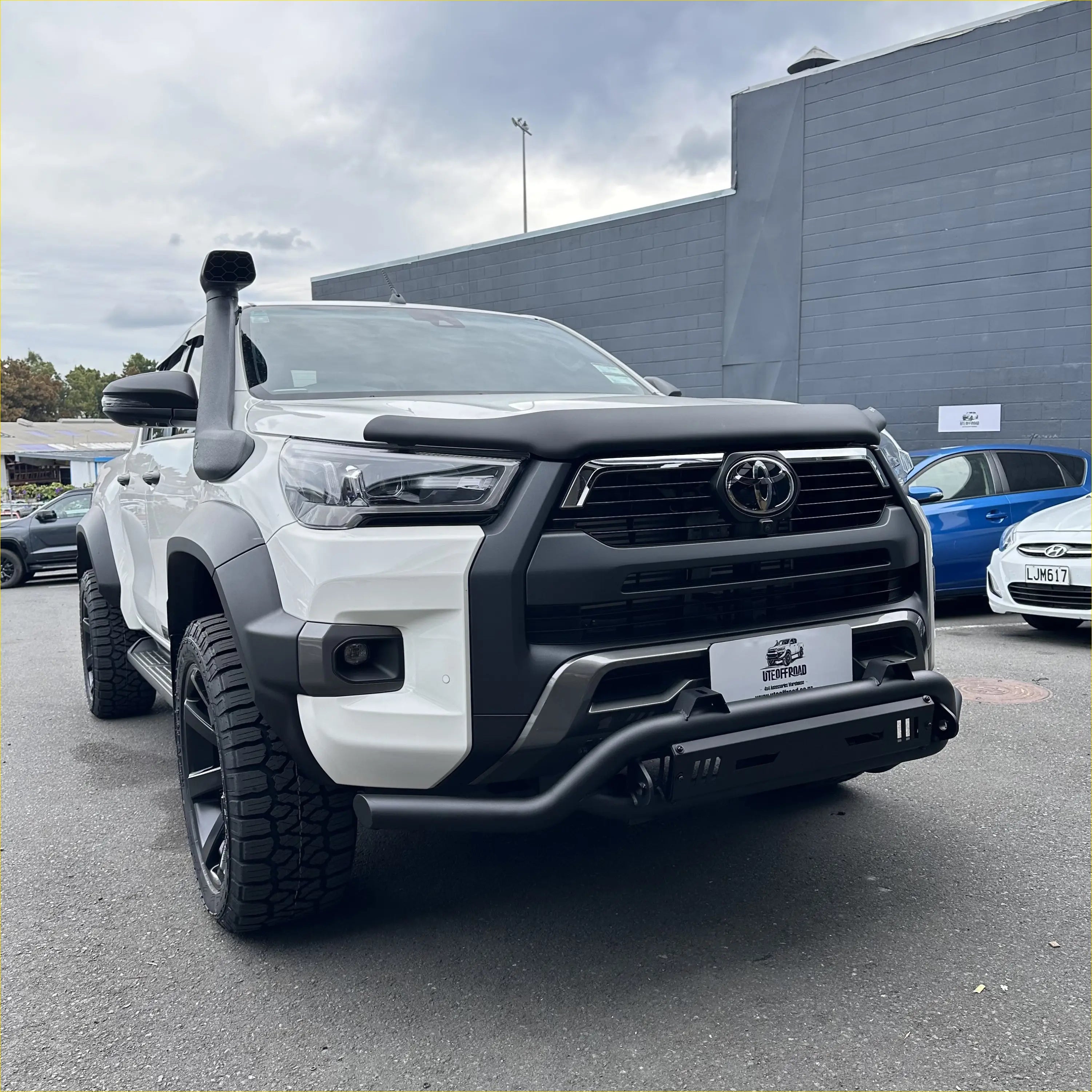 Nudge bar(Compatible Front Camera and Sensors) Lower style for Toyota
